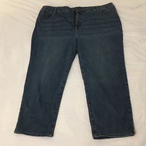 Talbots Simply Flattering 5-Pocket 24W jeans
